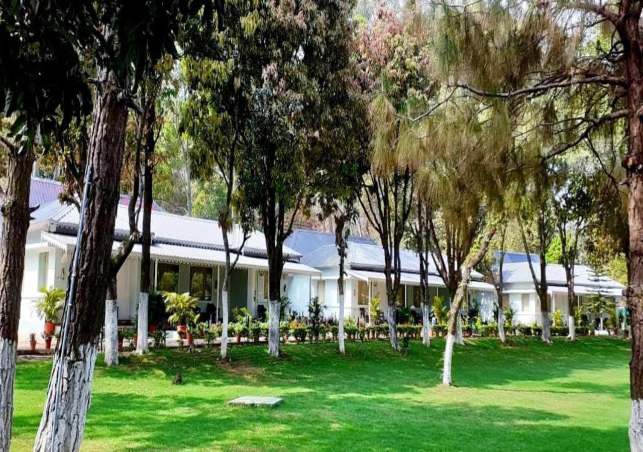 Greendale Resort Pachmarhī المظهر الخارجي الصورة