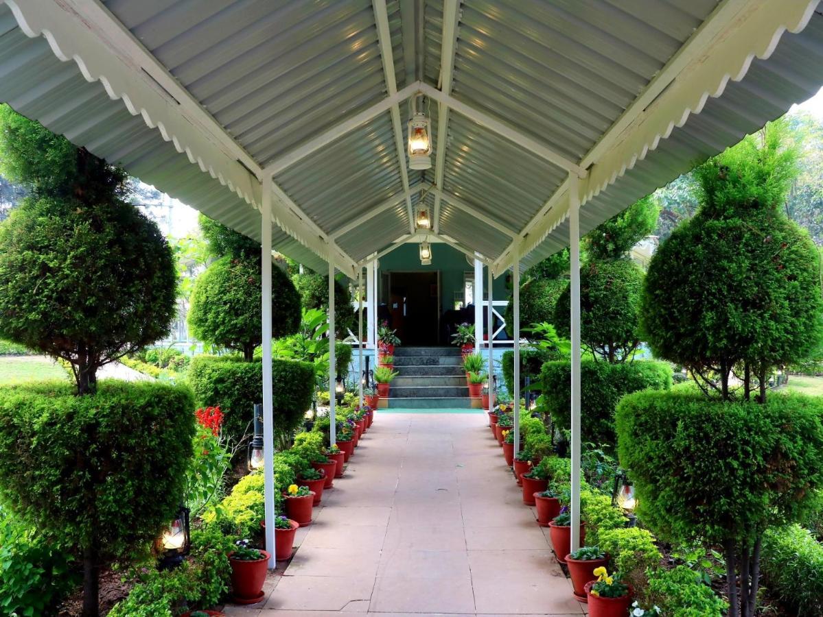 Greendale Resort Pachmarhī المظهر الخارجي الصورة