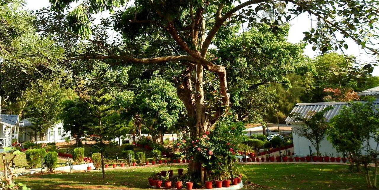 Greendale Resort Pachmarhī المظهر الخارجي الصورة